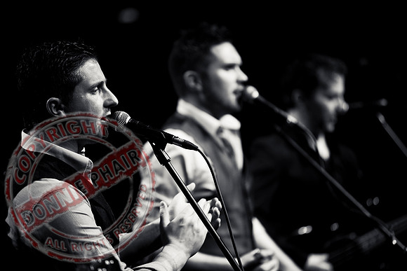 The Kilkennys