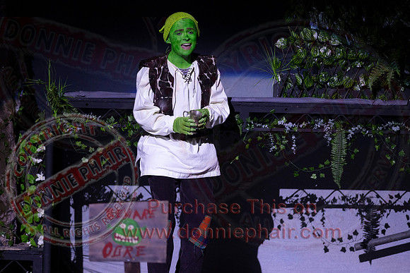 Shrek by FMT - Donnie Phair-31