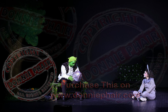 Shrek by FMT - Donnie Phair-307