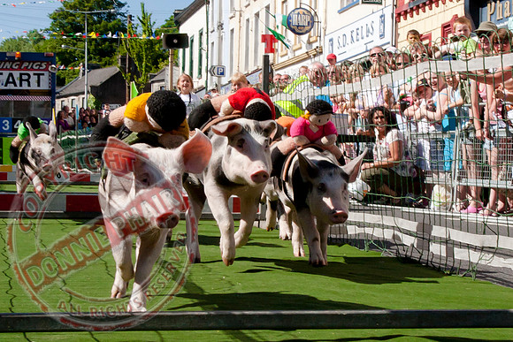 Discover Lisnaskea 2010