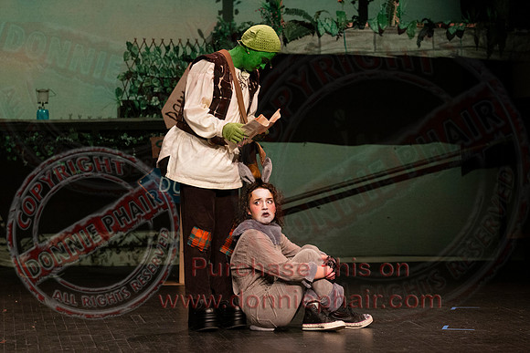 Shrek by FMT - Donnie Phair-82