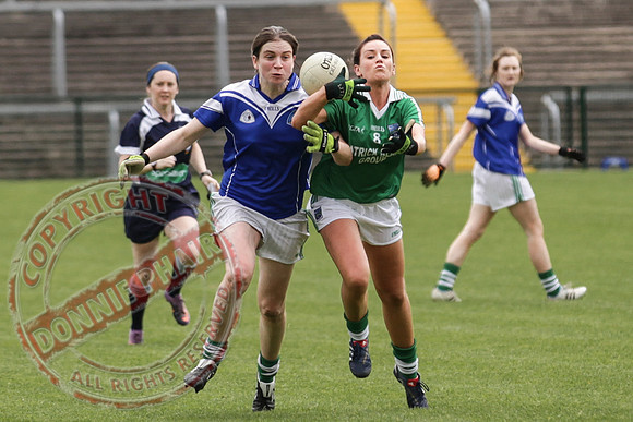 Fermanagh (3-13) V Limerick (3-08) in Senior Ladies GAA Football.
