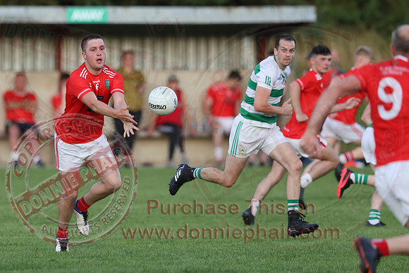 Teemore (3-15) V Newtownbutler (1-06) in Senior GAA Football Division Two-17