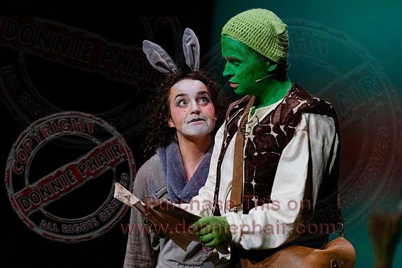 Shrek by FMT - Donnie Phair-89