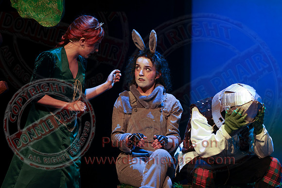 Shrek by FMT - Donnie Phair-295