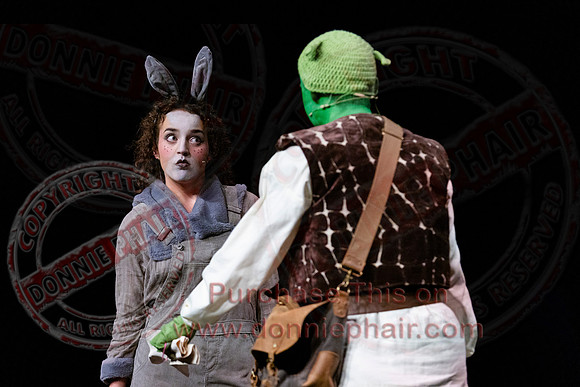 Shrek by FMT - Donnie Phair-100