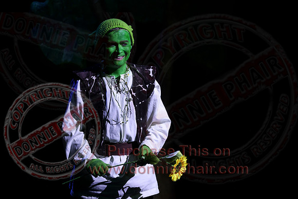 Shrek by FMT - Donnie Phair-505