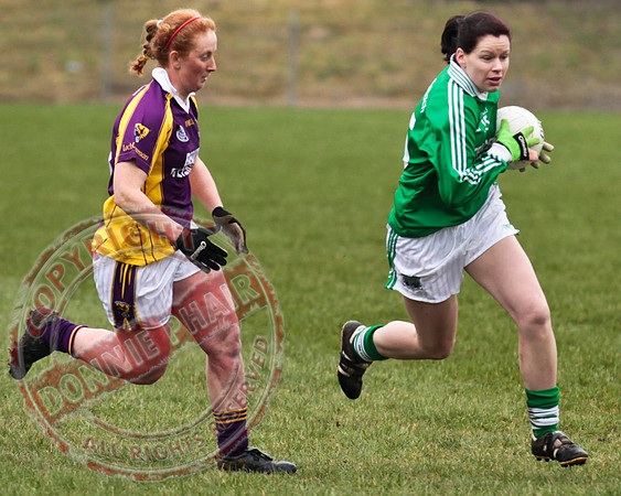 Fermanagh Senior Ladies GAA V Wexford in Teemore