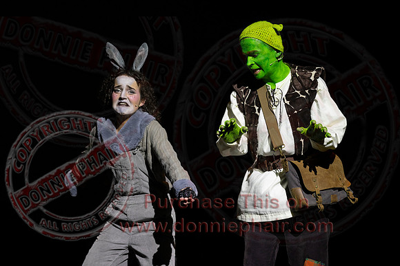 Shrek by FMT - Donnie Phair-205