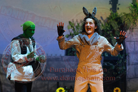 Shrek by FMT - Donnie Phair-199