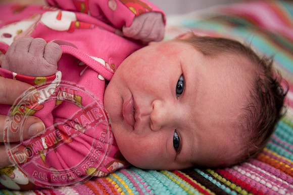 New Born Babies born 1st Jan 2012 in the Erne Hospital Enniskillen.