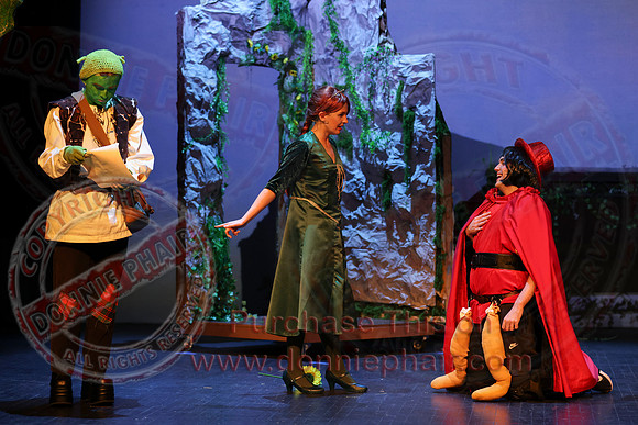 Shrek by FMT - Donnie Phair-514