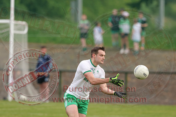 Ederney (2-09) V Derrygonnelly (0-14) in Senior GAA Football League Division One-10