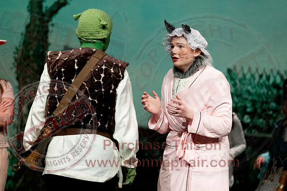 Shrek by FMT - Donnie Phair-64