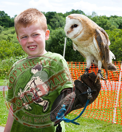 Crom Castle Open Day.