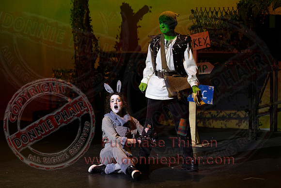 Shrek by FMT - Donnie Phair-118