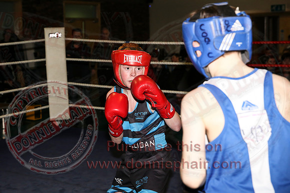 Erne Boxing Club Open Boxing Tournament