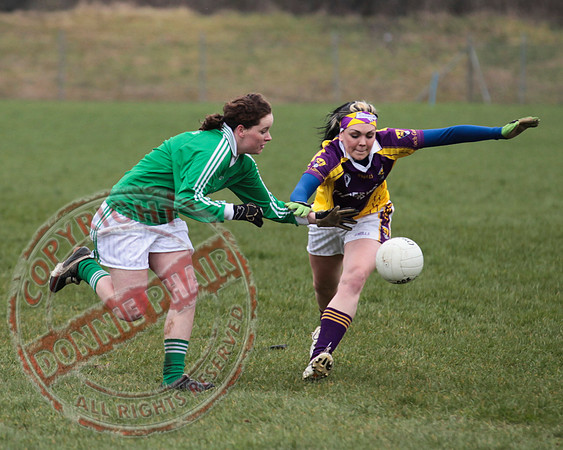 Fermanagh Senior Ladies GAA V Wexford in Teemore