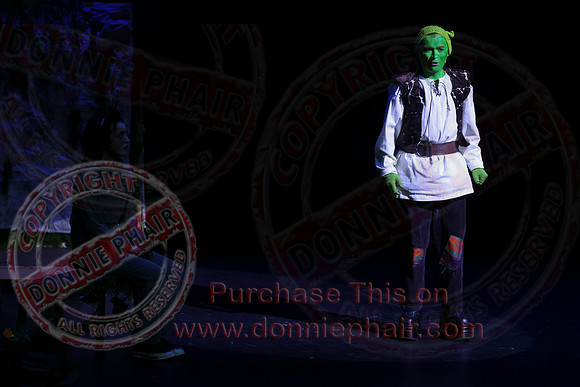Shrek by FMT - Donnie Phair-315