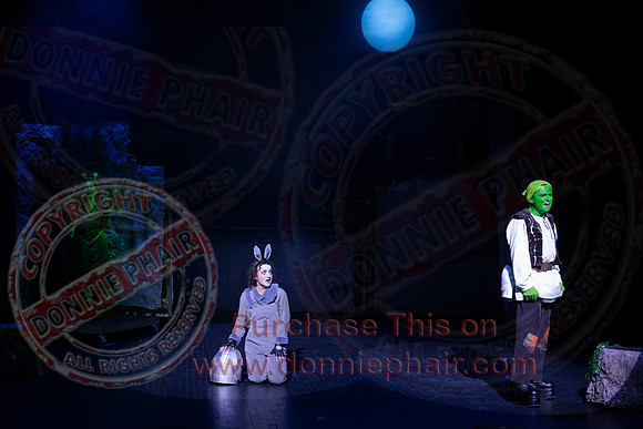 Shrek by FMT - Donnie Phair-325