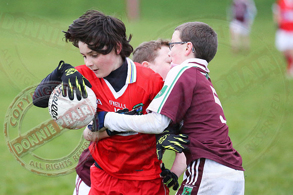 Dundas Shield GAA Tournament for U12 in Lisnaskea.