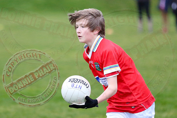 Dundas Shield GAA Tournament for U12 in Lisnaskea.