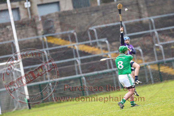 Fermanagh (1-16) V Fingal (3-13) in National Hurling League Division 3A