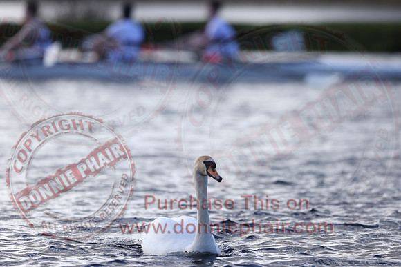 Erne Head of the River 2022 - Rowing-10