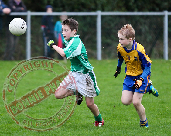 Roslea V Enniskillen Gaels in U12 GAA Football B Final.