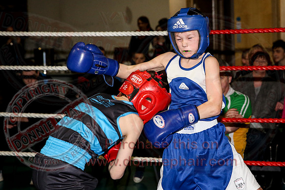 Erne Boxing Club Open Boxing Tournament