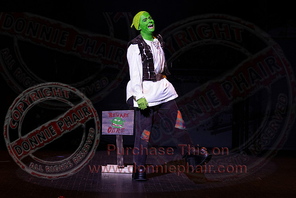Shrek by FMT - Donnie Phair-25