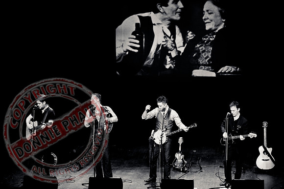 The Kilkennys