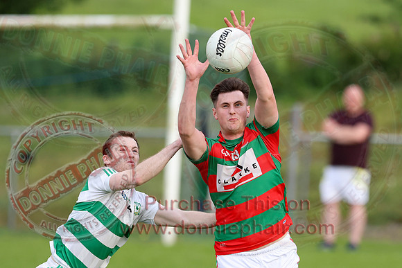 Teemore (2-10)V Lisnaskea (1-10) in Senior GAA Football League Division Two-12