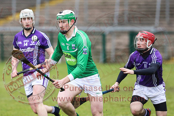 Fermanagh (1-16) V Fingal (3-13) in National Hurling League Division 3A