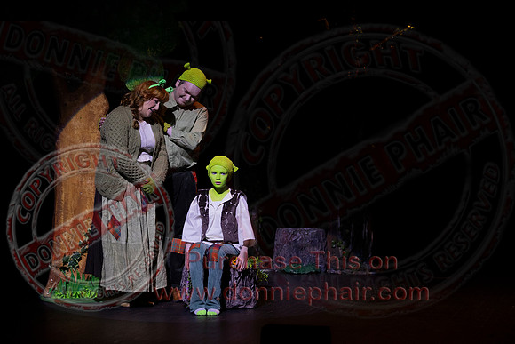 Shrek by FMT - Donnie Phair-17