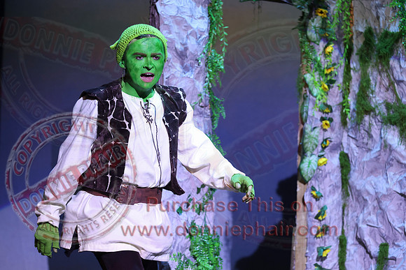 Shrek by FMT - Donnie Phair-529