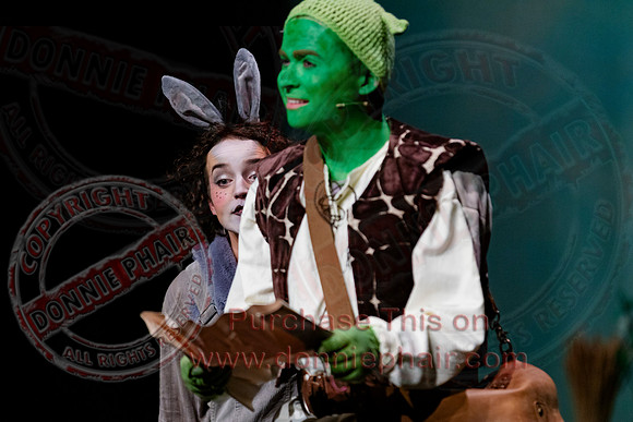 Shrek by FMT - Donnie Phair-88