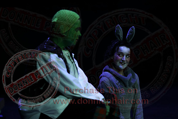 Shrek by FMT - Donnie Phair-310