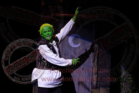 Shrek by FMT - Donnie Phair-28