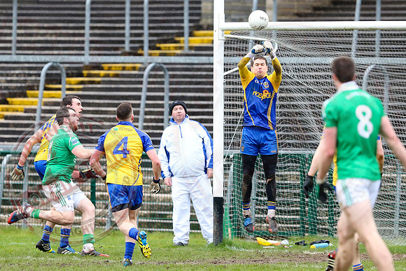 Fermanagh (4-10) V Roscommon (3-17) in Allianz National Football League Division 3.