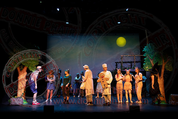 Shrek by FMT - Donnie Phair-532