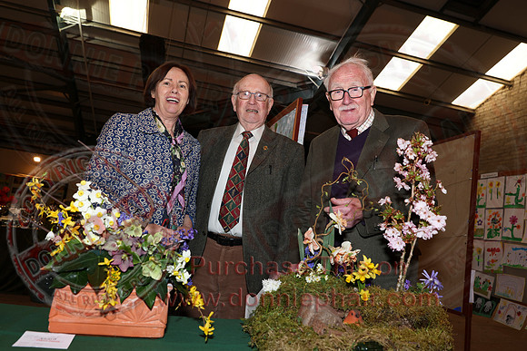 The Annual Daffodil and Spring Flower Show-1