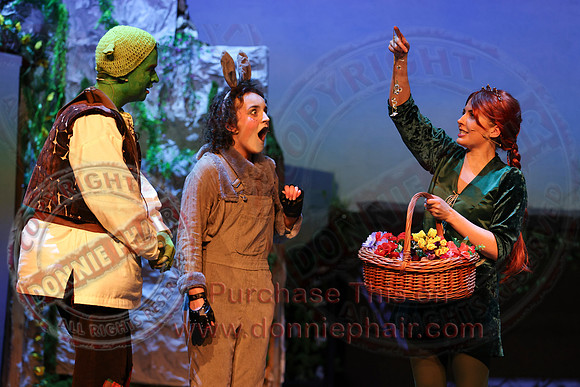 Shrek by FMT - Donnie Phair-355