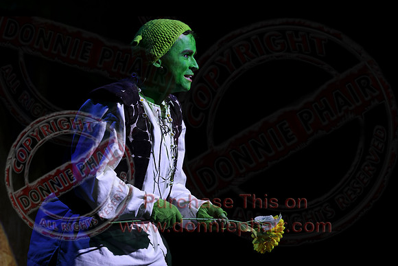 Shrek by FMT - Donnie Phair-506