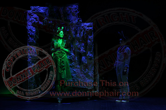 Shrek by FMT - Donnie Phair-497