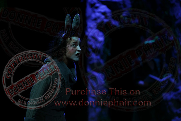 Shrek by FMT - Donnie Phair-495