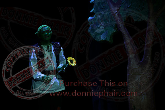 Shrek by FMT - Donnie Phair-502