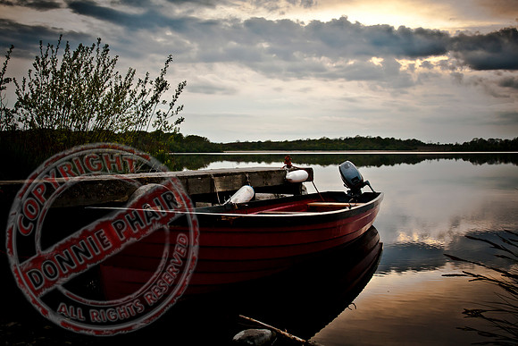 Scenery at Crom Castle, Co. Fermanagh.