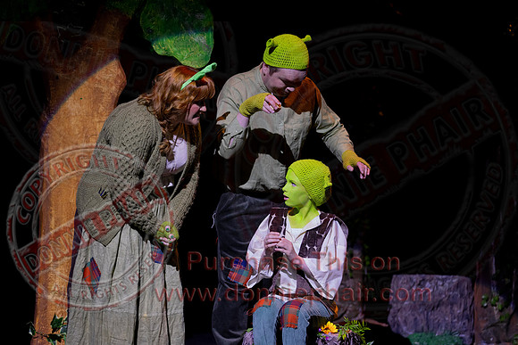 Shrek by FMT - Donnie Phair-16