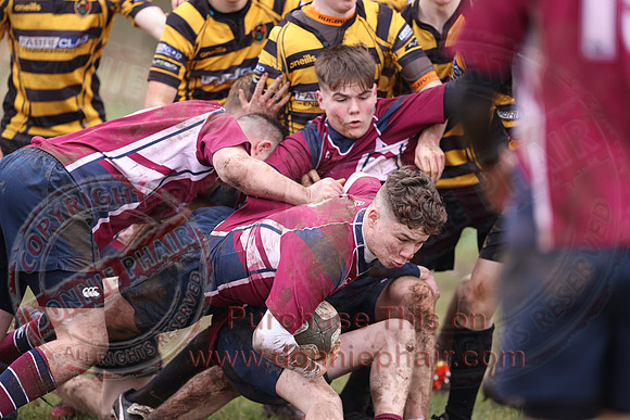 Enniskillen Youth Rugby-14